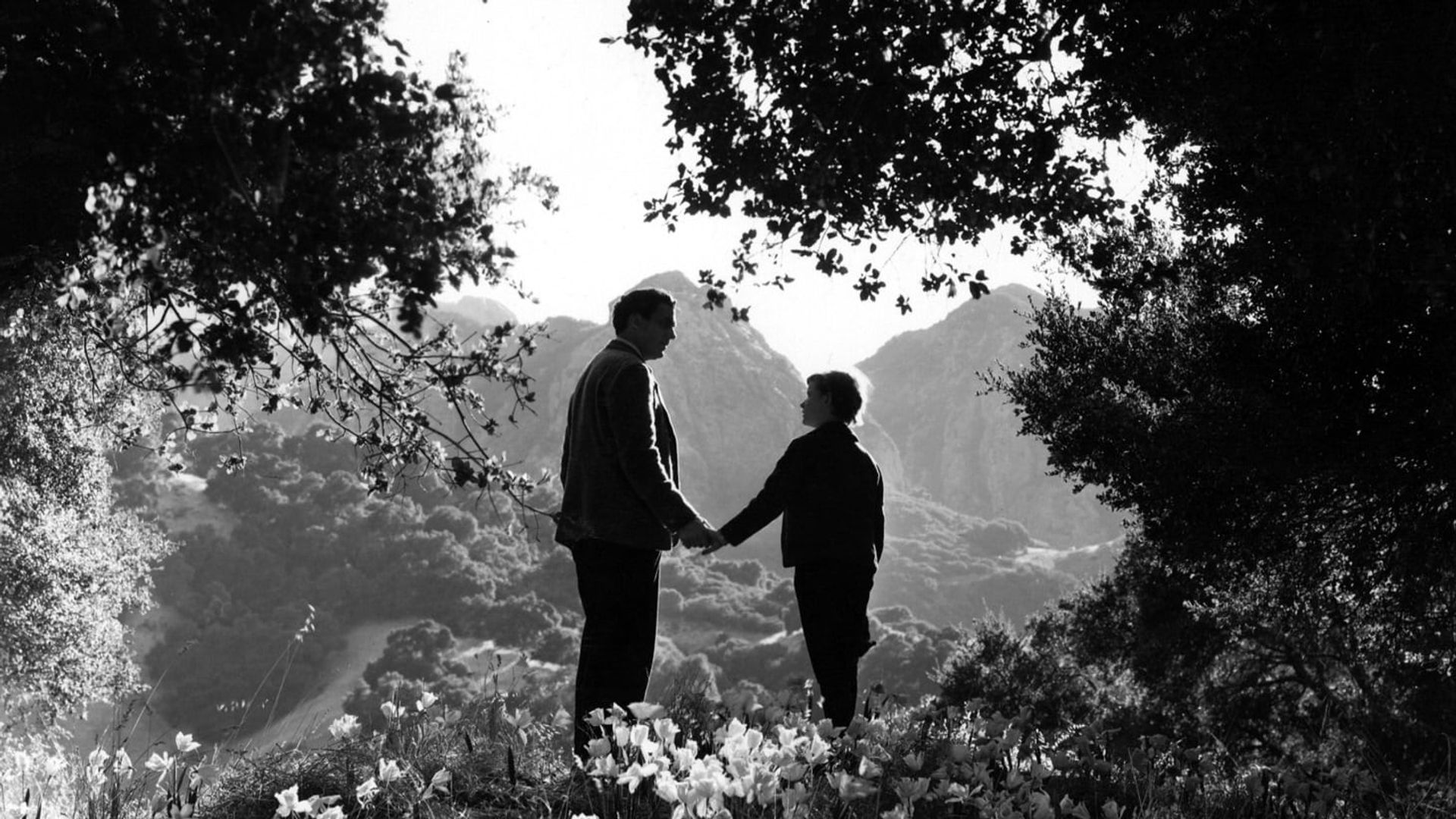 How green are you being. Как Зелена была моя Долина 1941. How Green was my Valley (как Зелена была моя Долина) (1941). Как Зелена была моя Долина фильм 1941. Зелёная Долина фильм США.